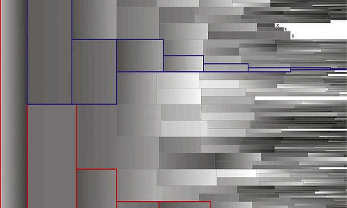 Nanog-Konzentrationen verfolgt über acht Zellgenerationen einer Zelle (weiß: hoch, schwarz: kein Nanog; x: Zelle tot) ­ Bild: Carsten Marr / TUM/HMGU