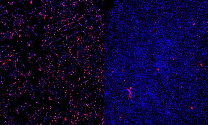 Cell uptake ASO therapies