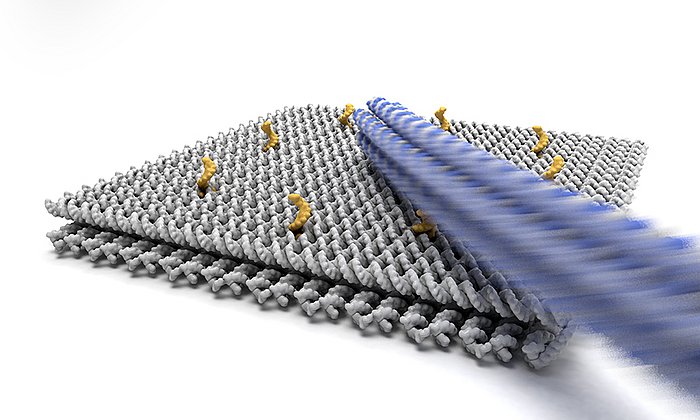 Elektrische Felder steuern den rotierenden Nano-Kran – 100.000 mal schneller als bisherige Methoden. (Bild: Enzo Kopperger / TUM)