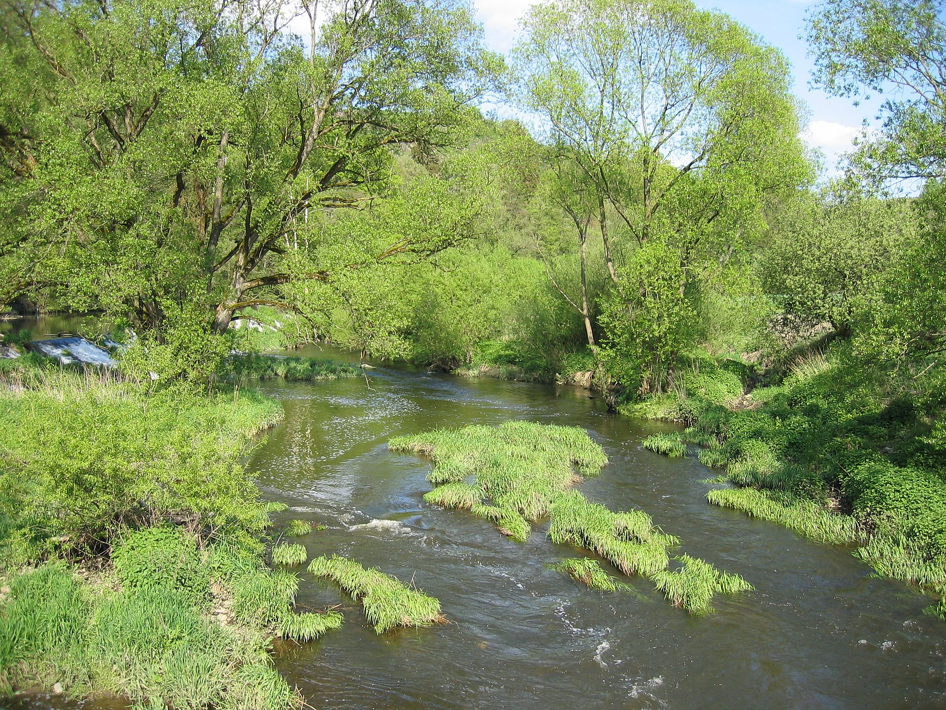 Die Durchströmung ist für den Boden eines Gewässers entscheidend und die Chance, den Flusslauf zu verändern, dadurch entsteht Lebensraum. (Foto: TUM/J. Geist)