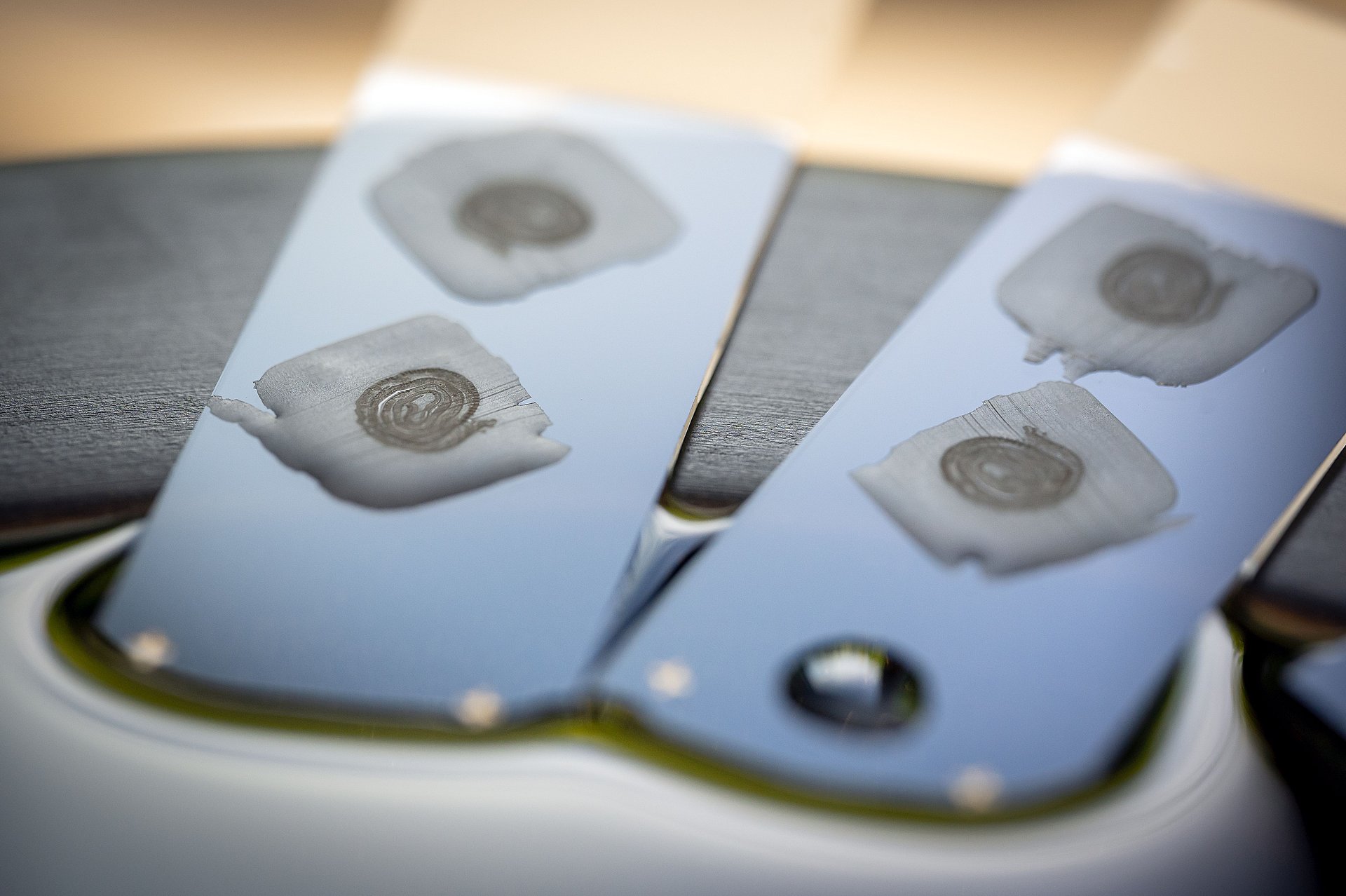 Intestinal samples on slides