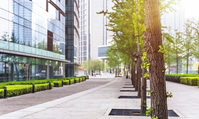 Bäume können einen großen Effekt auf das Stadtklima erzielen. (Foto: Shansekala / istockphoto)