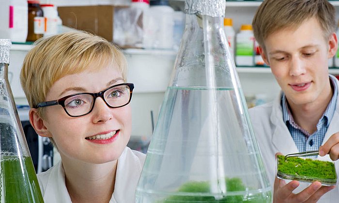 Katrin Fischer und Ingmar Polte prüfen das Mooswachstum im Labor.