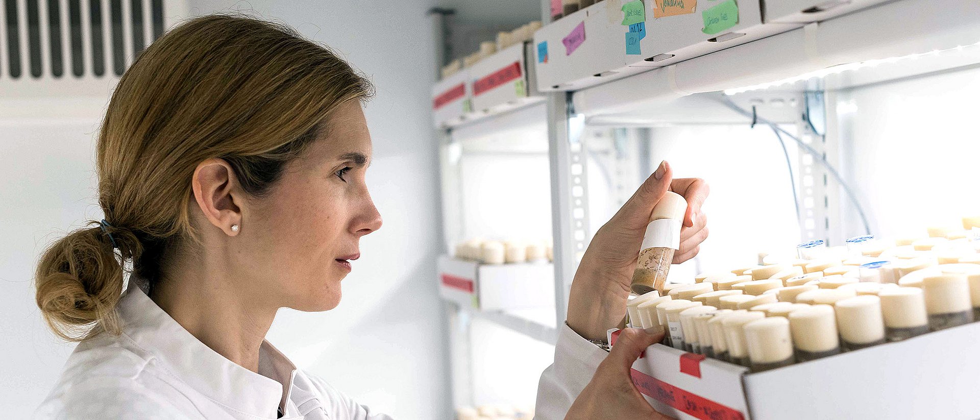 Prof. Ilona C. Grunwald Kadow choses drosophila flies for her motivation experiments. 