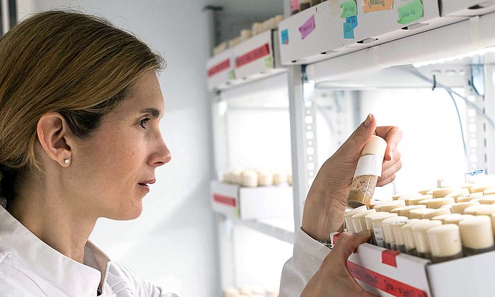 Prof. Ilona C. Grunwald Kadow choses drosophila flies for her motivation experiments. 