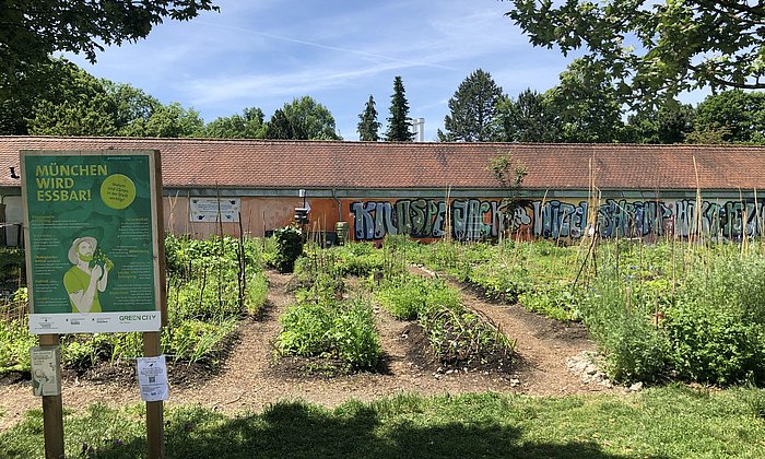 Ein kleines Feld in der Stadt: Ziel des Projektes Essbare Stadt München ist es, neue Möglichkeiten des Gärtnerns in der Stadt auszuloten und den Austausch zwischen Stadt-Gärtnern zu ermöglichen. Über solche und ähnliche Projekte diskutieren die Teilnehmer des 14. Weihenstephaner Forums. 