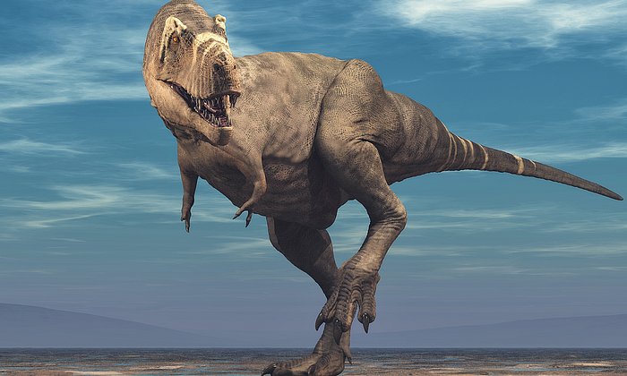 Illustration of Tyrannosaurus Rex.