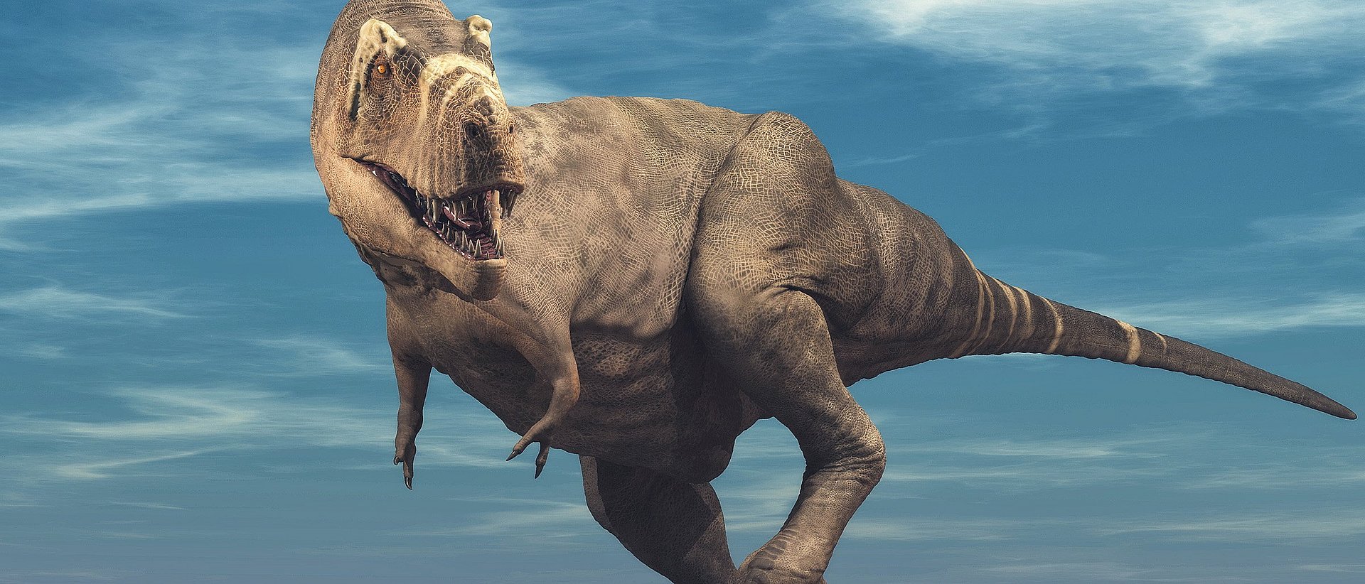 Eine Illustration von Tyrannosaurus Rex.