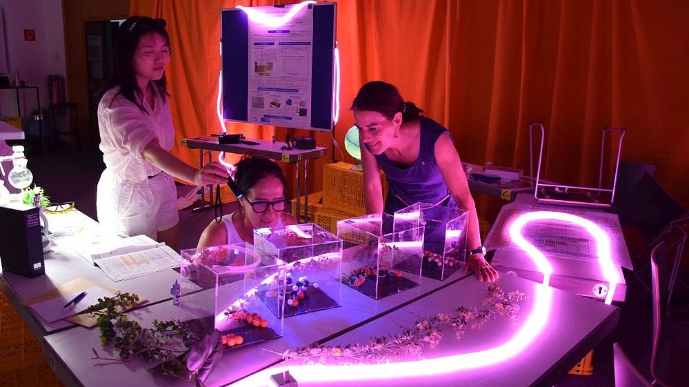 Escape room game  Set-up of the escape room game