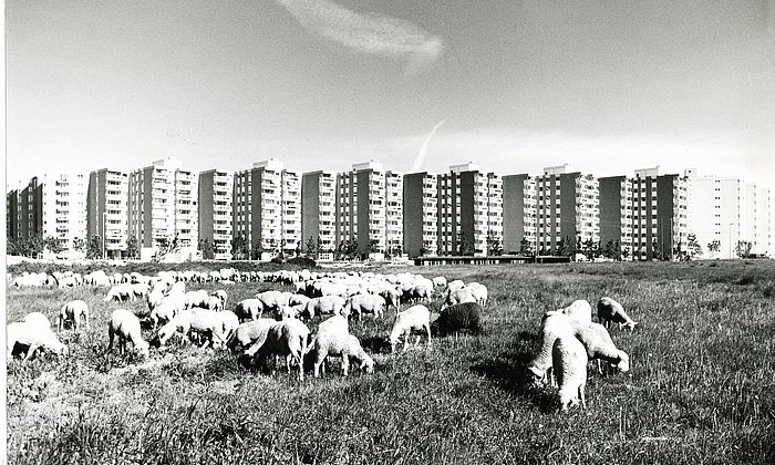Wohnring in Neuperlach-Mitte, ca. 1972 (Foto: Hermann Schulz / © WSB Bayern / Doblinger Unternehmensgruppe).