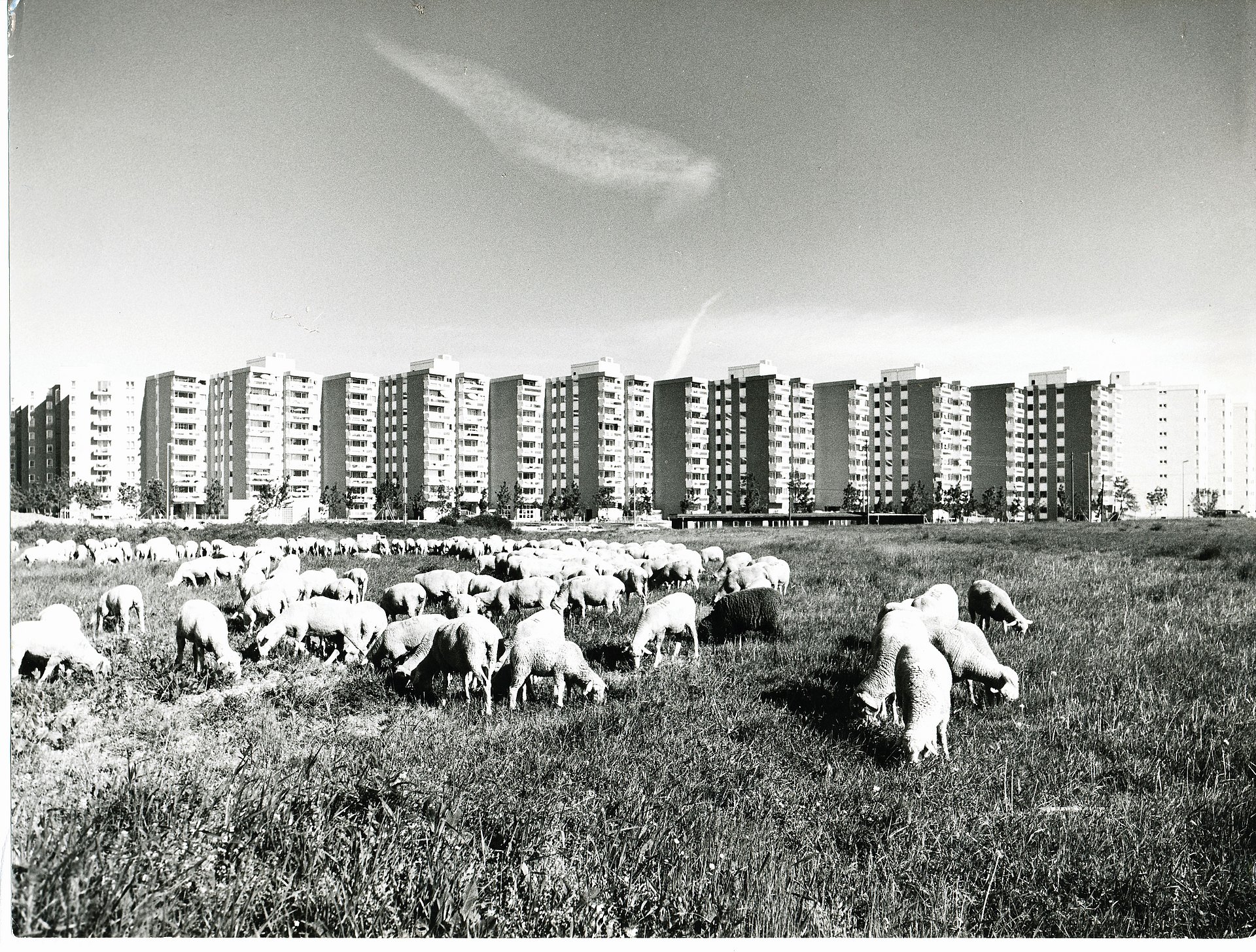 Wohnring in Neuperlach-Mitte, ca. 1972 (Foto: Hermann Schulz / © WSB Bayern / Doblinger Unternehmensgruppe). Wohnring in Neuperlach-Mitte, ca. 1972 (Foto: Hermann Schulz / © WSB Bayern / Doblinger Unternehmensgruppe).