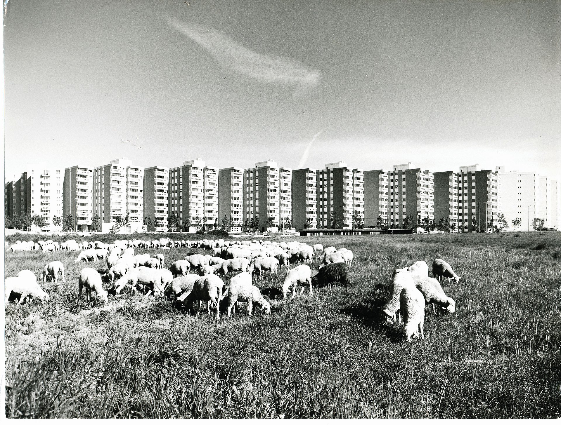 Wohnring in Neuperlach-Mitte, ca. 1972 (Foto: Hermann Schulz / © WSB Bayern / Doblinger Unternehmensgruppe).