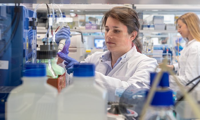 Researchers at the Collaborative Research Center TRR 267 