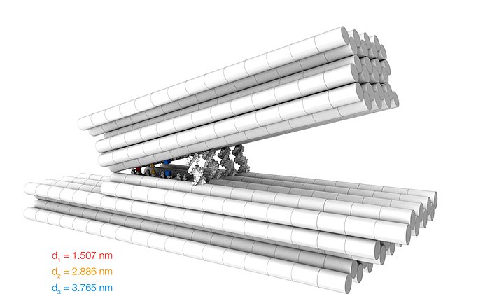 DNA-Nanogreifer. Dietz Lab/TUM