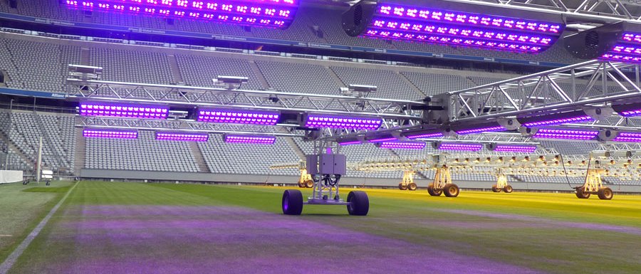 Damit der Platz für das nächste Spiel in Top-Form ist, erforschen Wissenschaftler der TUM die Wechselwirkung von LED-Licht und Klima auf unterschiedliche Sportrasten-Arten. (Foto: Rhenac GreenTec AG)