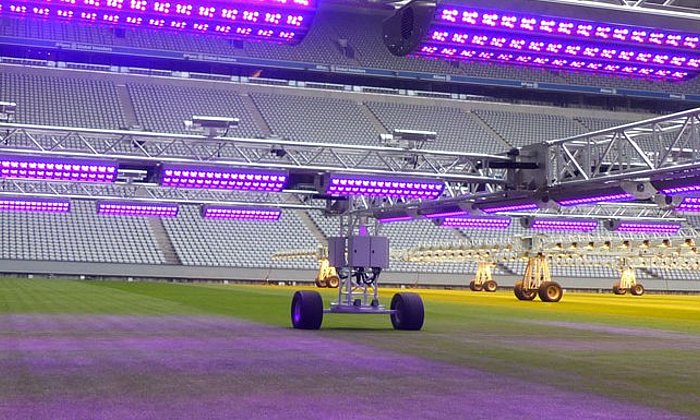 Damit der Platz für das nächste Spiel in Top-Form ist, erforschen Wissenschaftler der TUM die Wechselwirkung von LED-Licht und Klima auf unterschiedliche Sportrasten-Arten. (Foto: Rhenac GreenTec AG)
