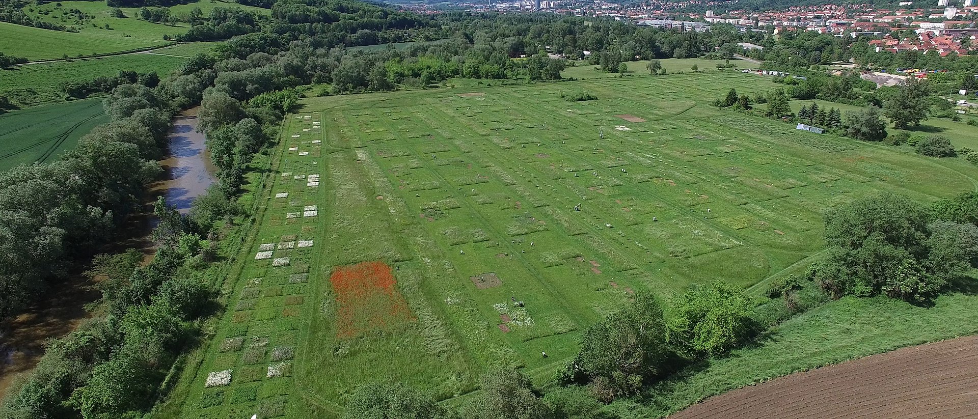 Aerial photo of the experimental field "Jena Experiment" with 80 plots.