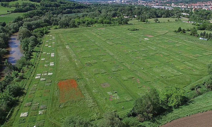 Aerial photo of the experimental field "Jena Experiment" with 80 plots.