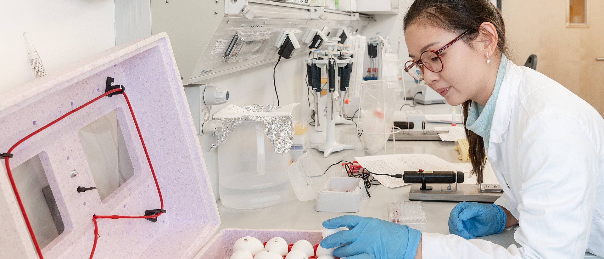 In a lab, student Shen Yeng Tan takes eggs from a tabletop incubator.