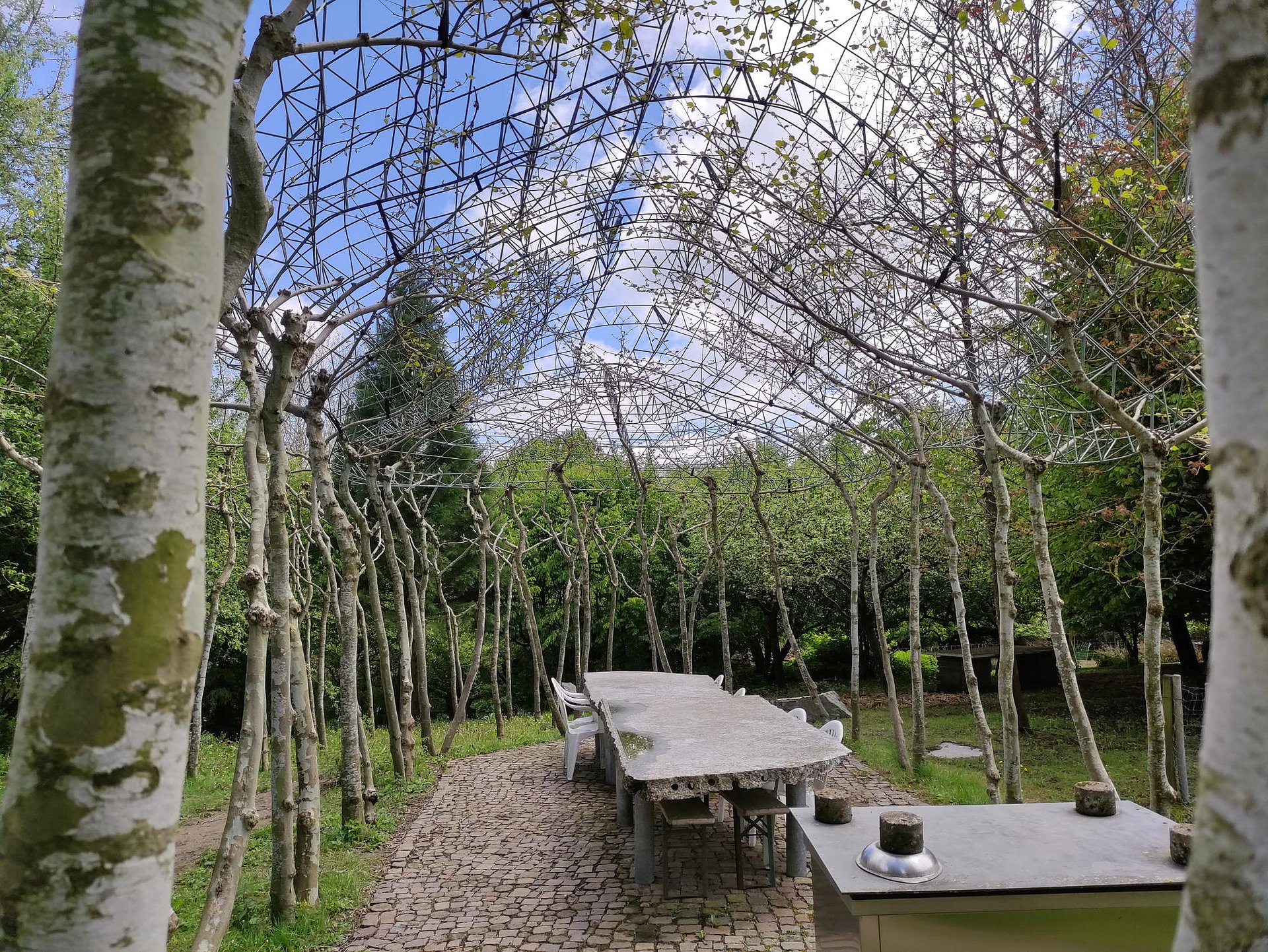 Das Dach der baubotanischen Sommerküche wird von Bäumen getragen. Gedeckt wird es erst später, wenn die Baum-Säulen stark genug dafür sind.