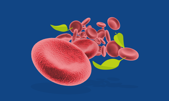 Collage showing red blood cells with leaves