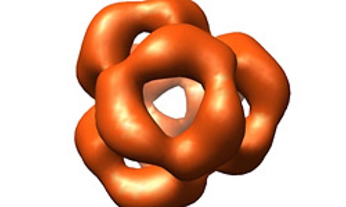 Proteinkomplex des αB-Crystallins
