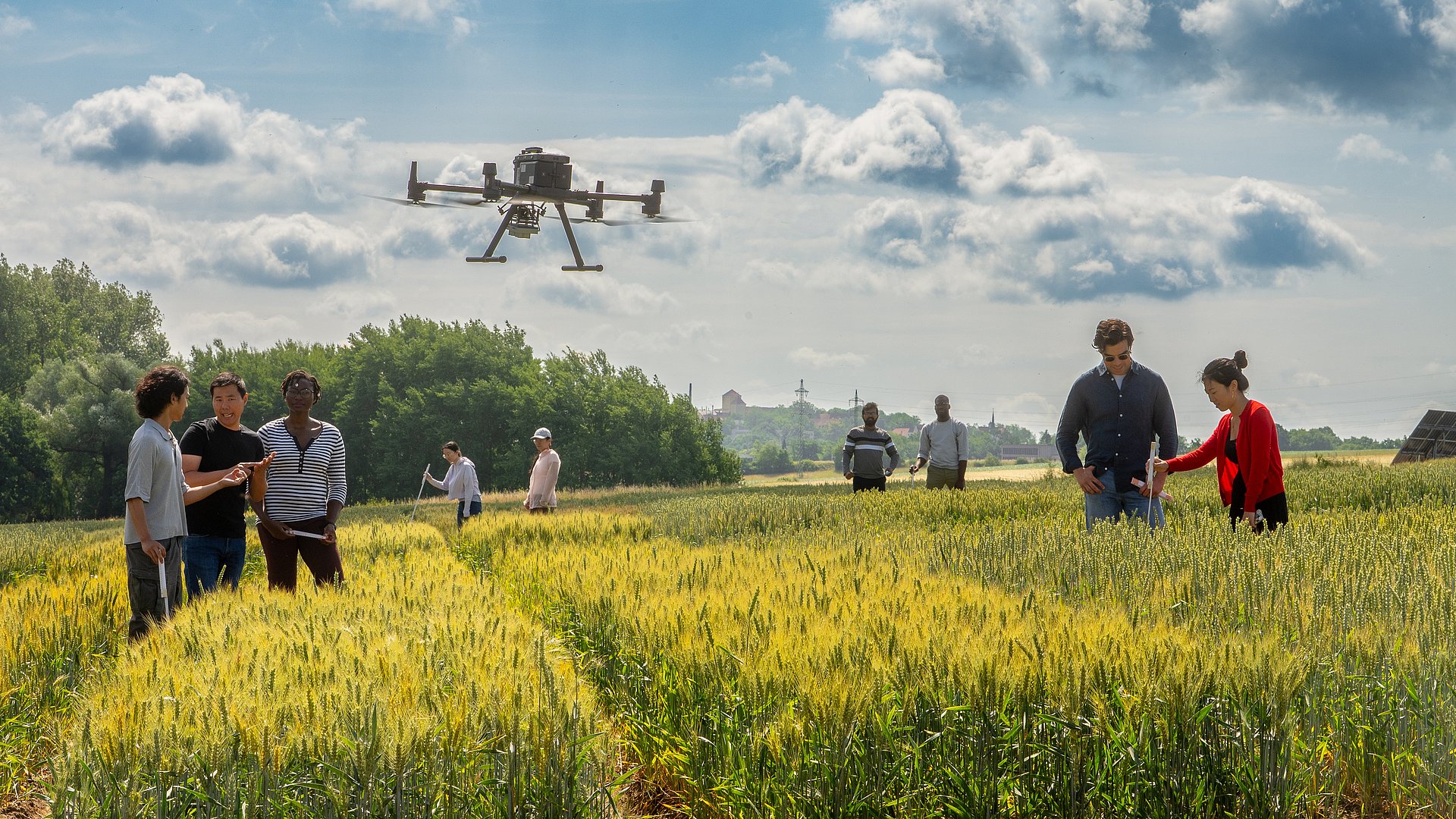 Researchers examine a grain field with a drone