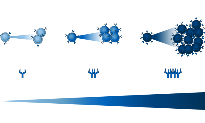 Die Grafik zeigt die Verteilung des Ly49H-Rezeptors auf der Oberfläche von unterschiedlichen Natürlichen Killerzellen. Abhängig von der Menge des Oberflächenmoleküls vermehren sich einzelne Zellen stärker oder schwächer.