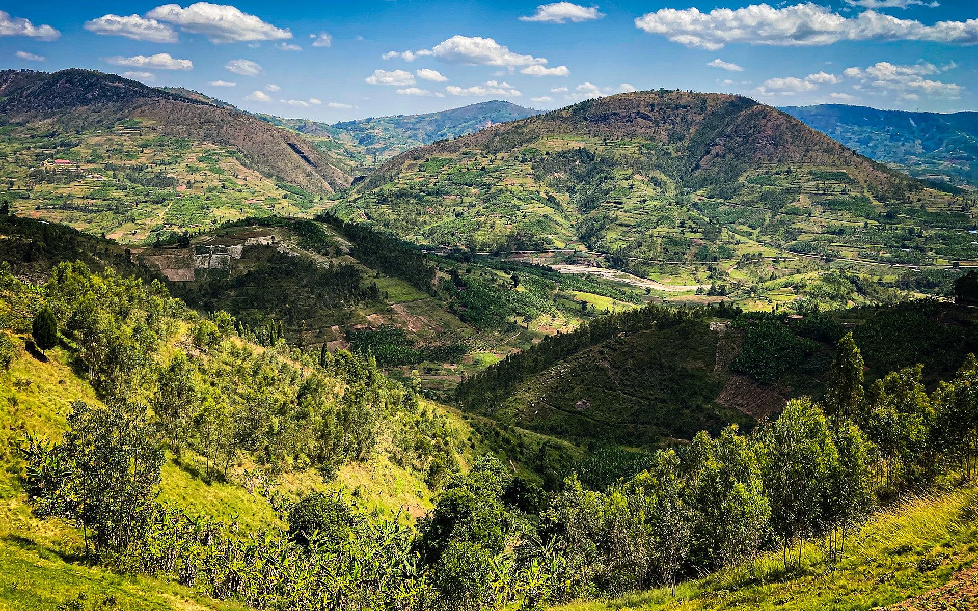 [Translate to English:] Rwanda is called the "land of a thousand hills" because of its topography.