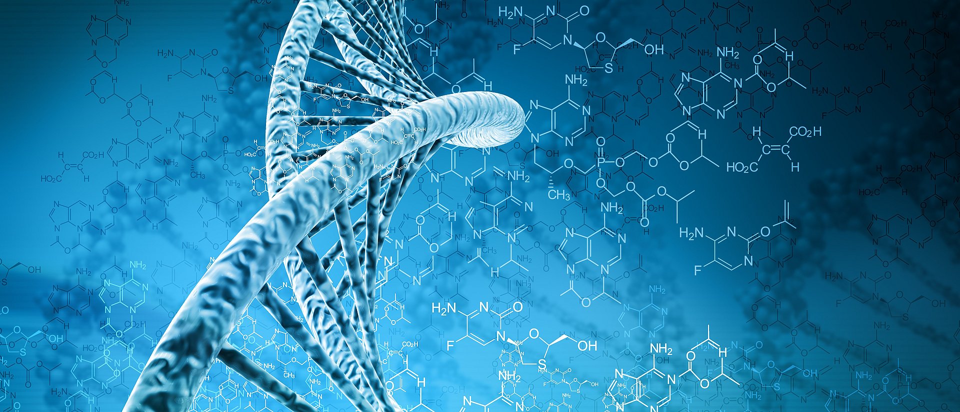 Im menschlichen Erbgut, der DNA, gibt es sogenannte Single Nuleotide Polymorphisms (SNPs). Heribert Schunkert und sein Team untersuchten 74 dieser SNPs, sogenannte „Schulerfolgsvarianten“, und ihren Einfluss auf Herz-Kreislauferkrankungen.