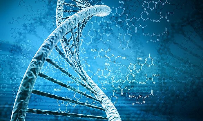 Variations in the DNA have big effects on cell functions.