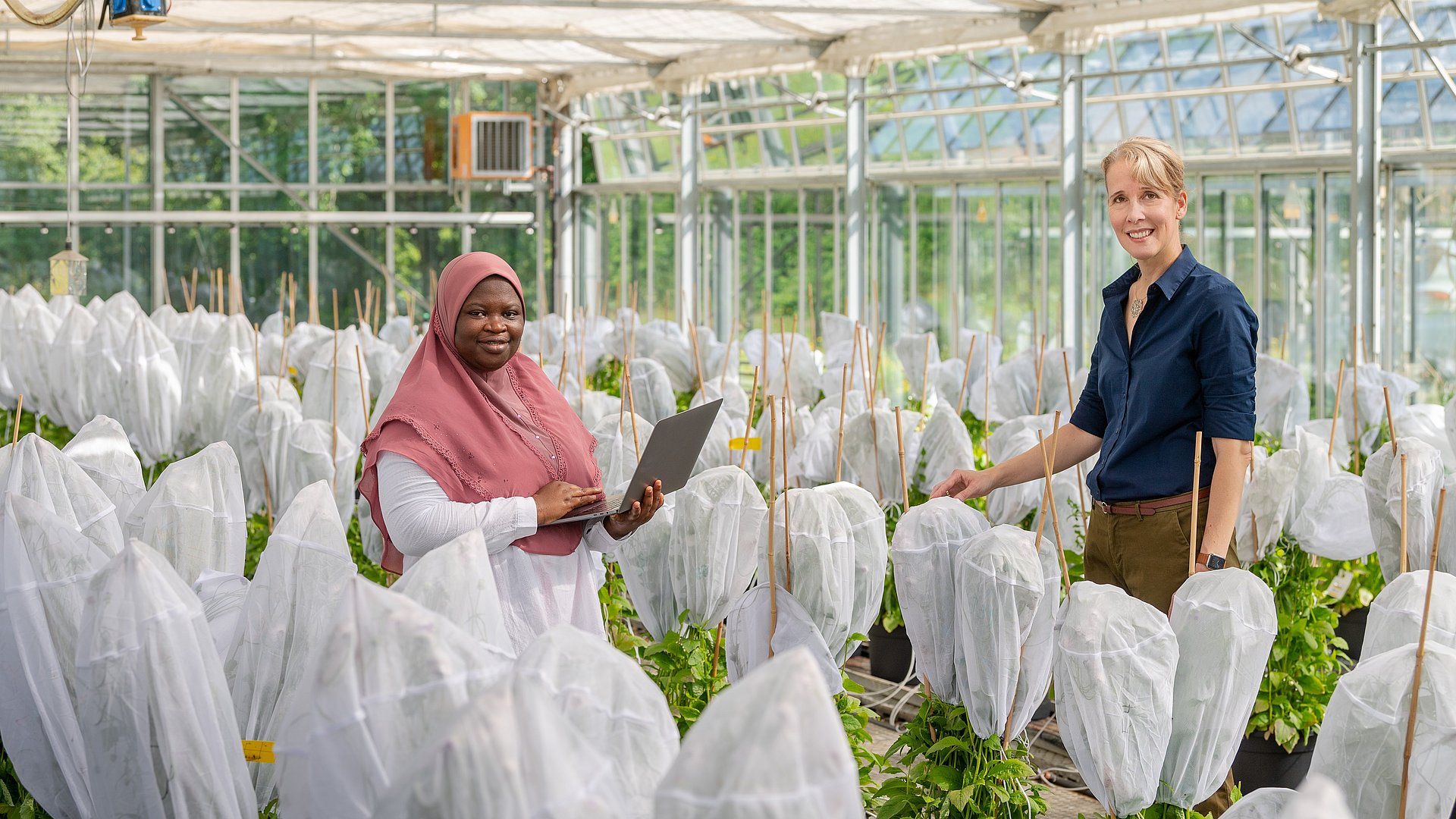 Prof. Brigitte Poppenberger (re.) und ihre Doktorandin Adebimpe Adedeji-Badmus umgeben von Ebolo-Pflanzen in einem Gewächshaus der TUM School of Life Sciences.