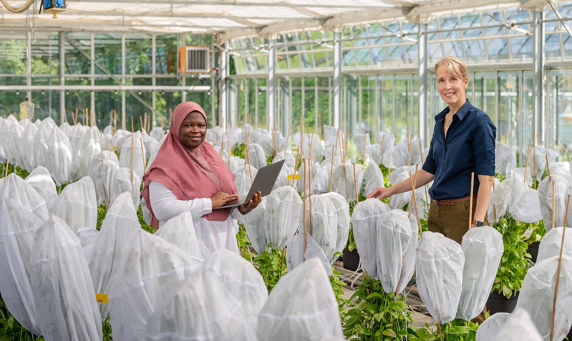 Prof. Brigitte Poppenberger (re.) and her PhD student Adebimpe Adedeji-Badmus surrounded by Ebolo plants in a greenhouse at TUM School of Life Sciences.