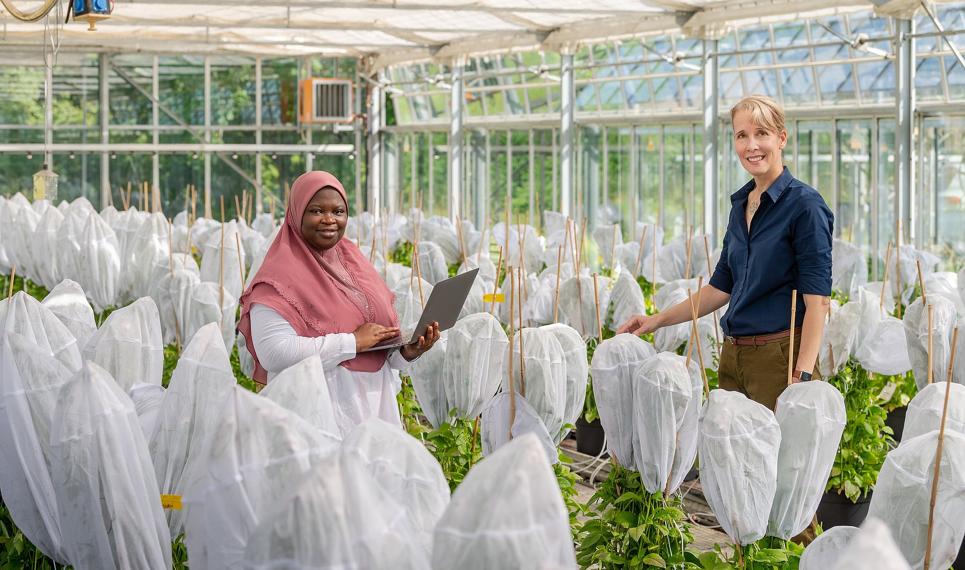 Prof. Brigitte Poppenberger (re.) und ihre Doktorandin Adebimpe Adedeji-Badmus umgeben von Ebolo-Pflanzen in einem Gewächshaus der TUM School of Life Sciences.
