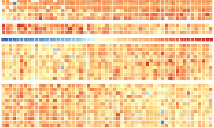 Wie empfindlich reagieren Krebszellen auf Tumormedikamente? Antwort darauf geben Proteinmuster der NCI-60-Tumor-Zelllinien.