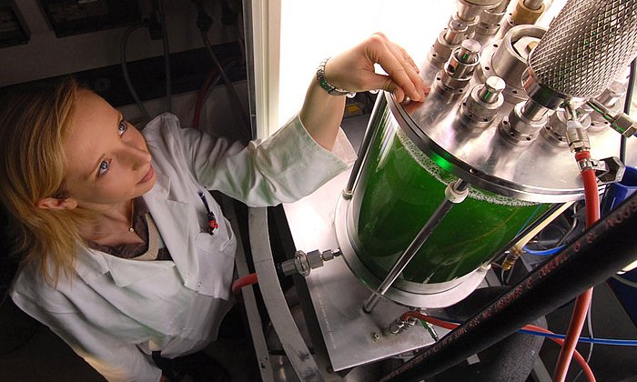 Scientist in a biotechnoloy laboratory