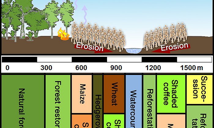 Das Diagram stellt Monokultur und differenzierte Landnutzung gegenüber.