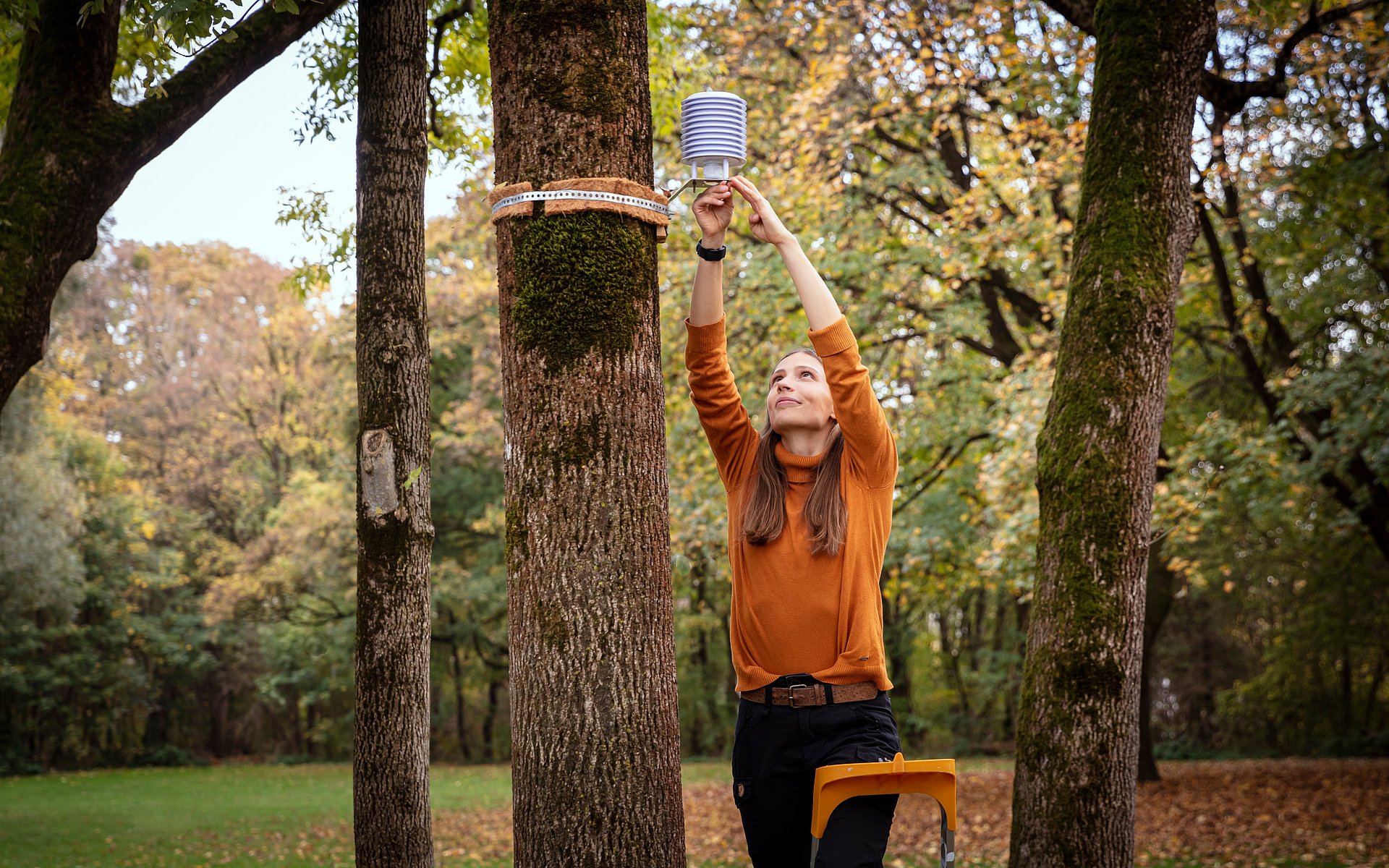 Sophie Arzberger montiert eine Klimastation an einen Baum im Münchner Olympiapark.