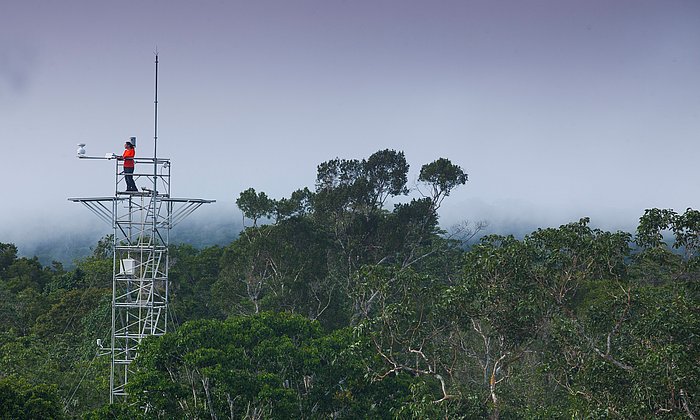 Stählerner Messturm des Projekts AmazonFACE im brasilianischen Regenwald. 