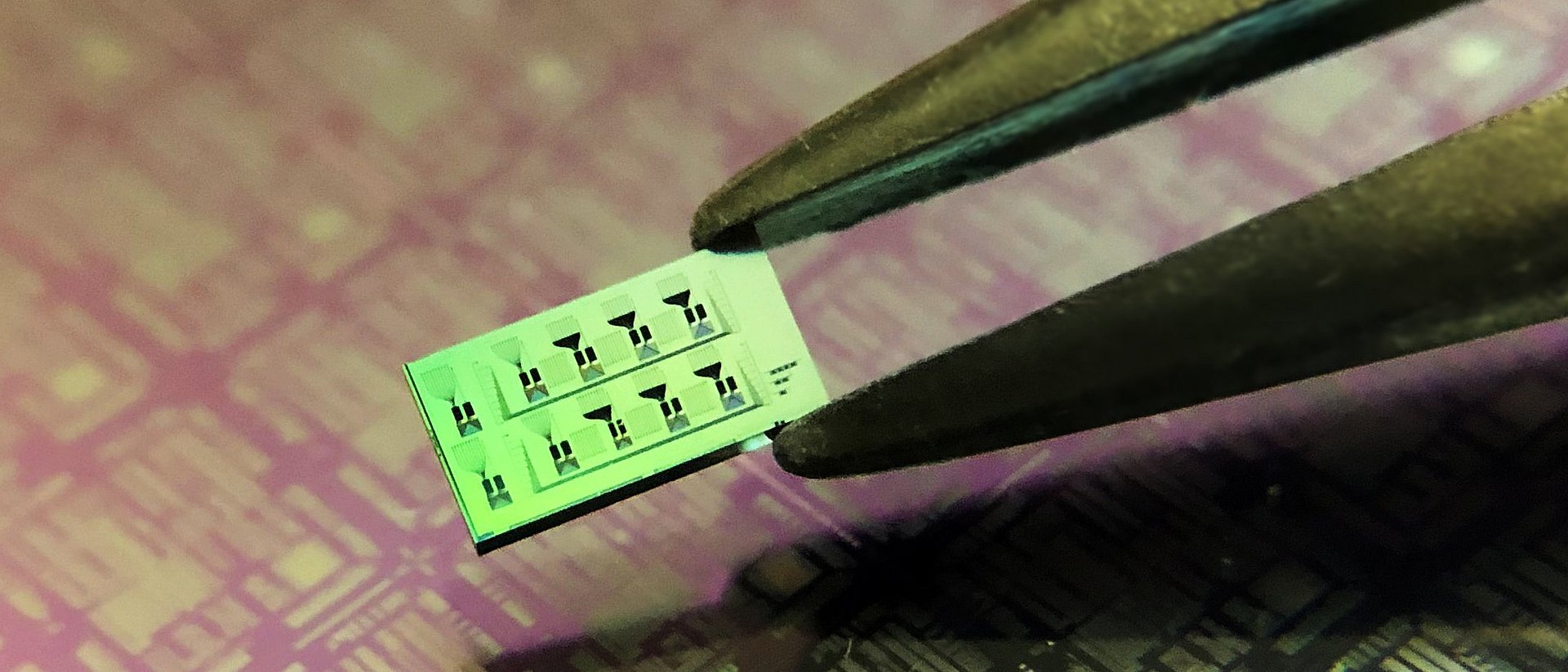 Siliziumchip (ca. 3 mm x 6 mm) mit mehreren Detektoren. Die feinen schwarzen Gravuren auf der Oberfläche des Chips sind die optischen Schaltkreise, die die Detektoren miteinander verbinden (mit bloßem Auge nicht sichtbar). Im Hintergrund eine größere optische Schaltung auf einem Siliziumplättchen.