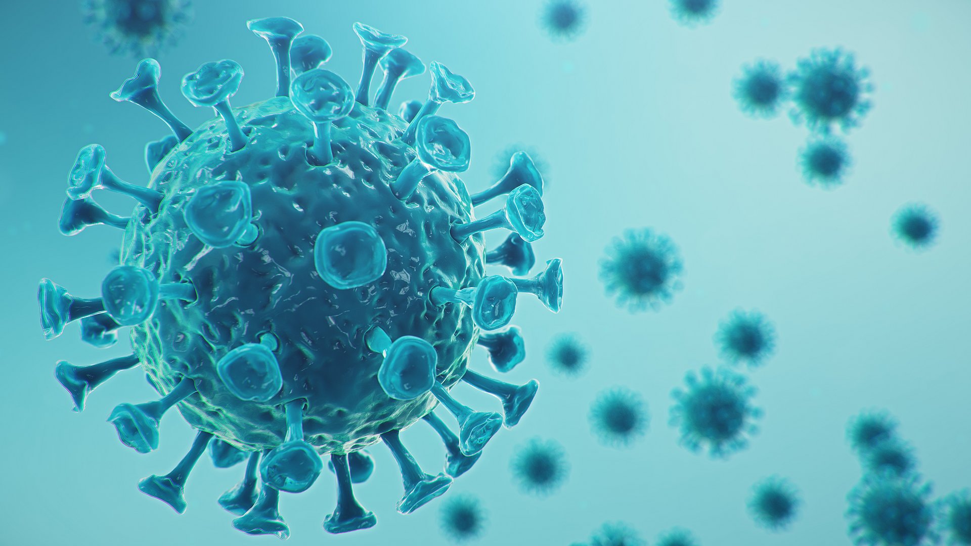 Ein neues Coronavirus ist für die Krankheit COVID-19 verantwortlich. 