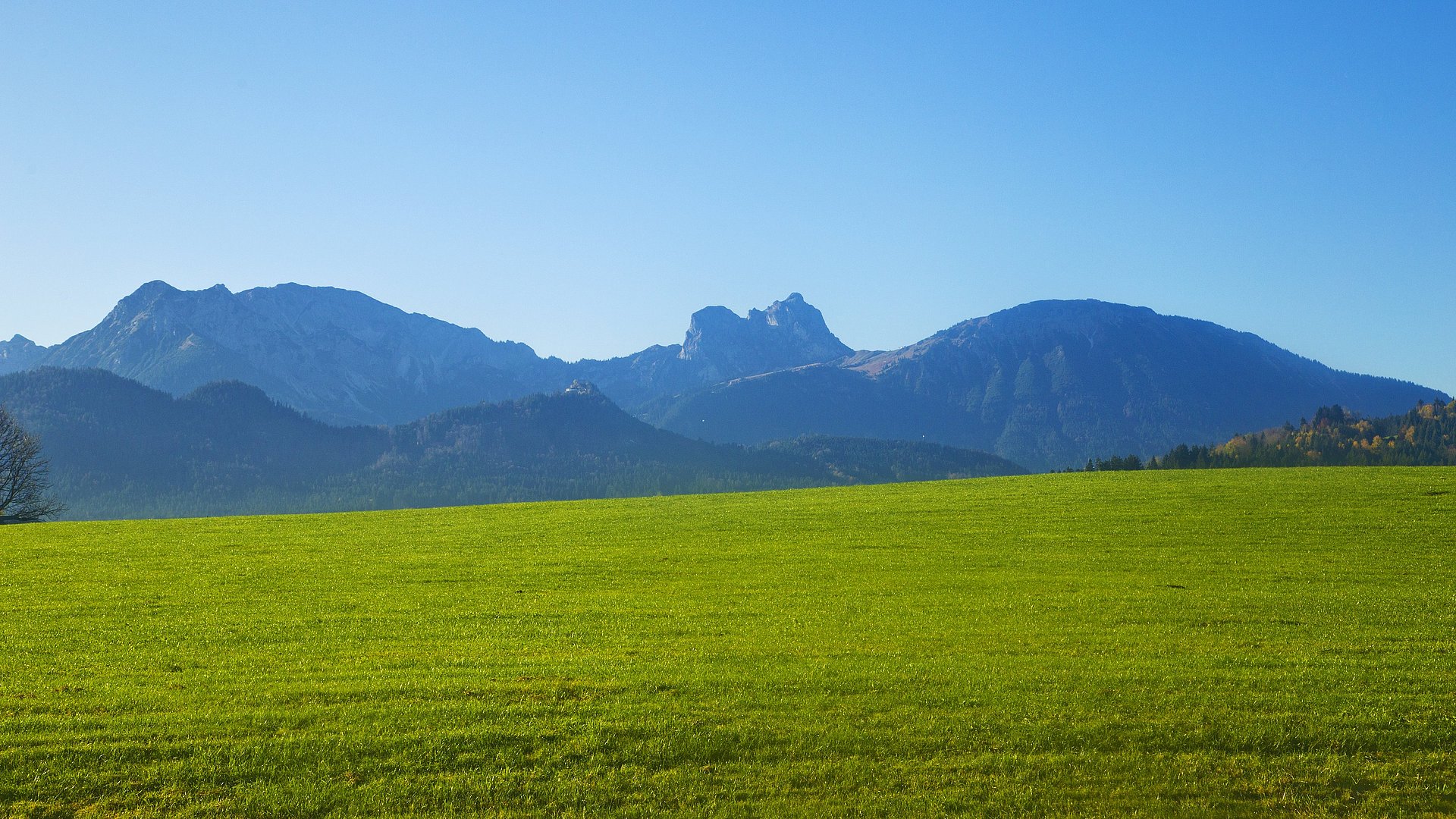 Blick auf eine Wiese, im Hintergrund Berge und blauer Himmel