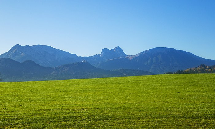 Blick auf eine Wiese, im Hintergrund Berge und blauer Himmel