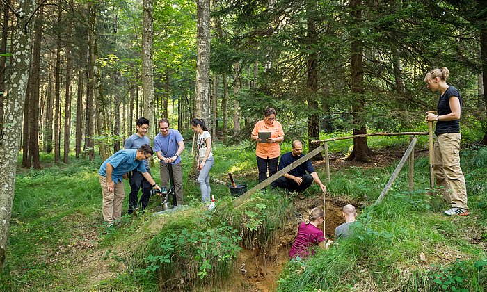 Prof. Koegel-Knabner with students and doctoral candidates taking soil samples in the Freising forest area. 