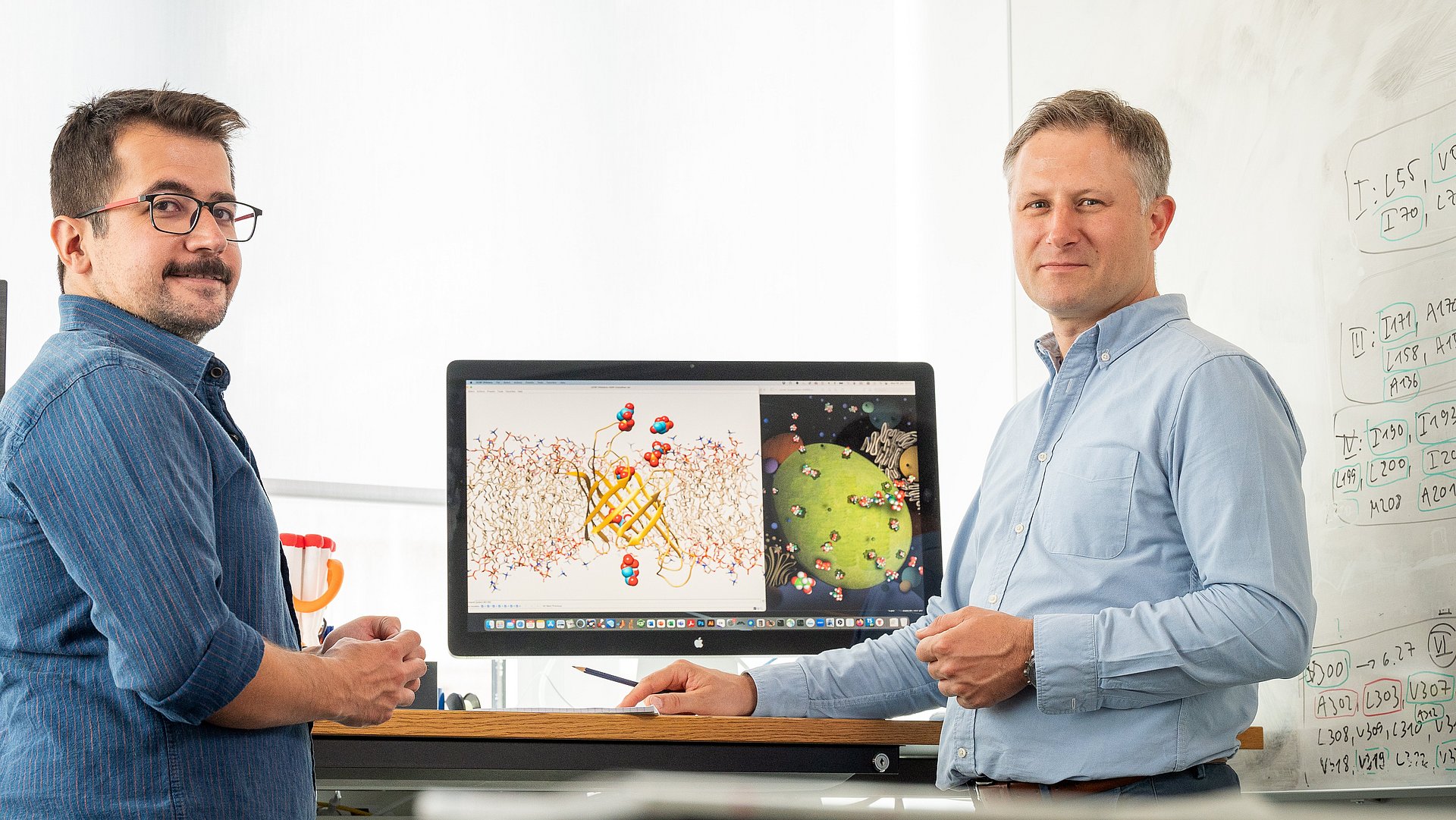 Prof. Franz Hagn und Dr. Umut Günsel vor einem Strukturmodell des Transportproteins. Fotografiert am Bayersichen NMR Zentrum. 