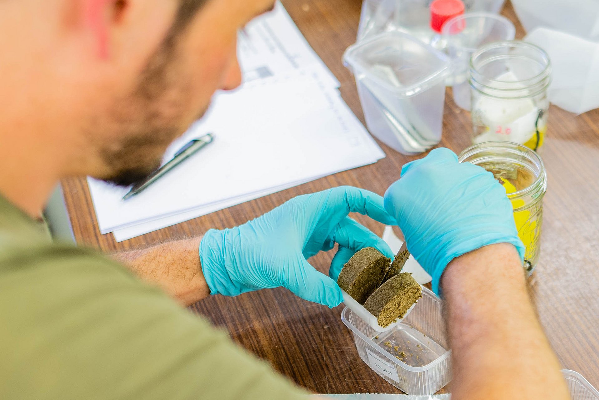 Soil scientist at work