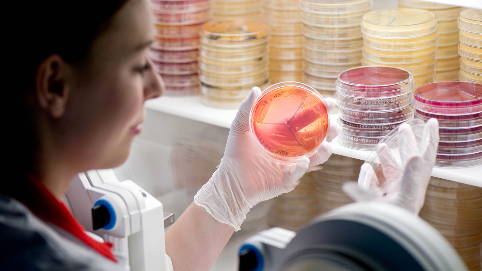 Forschung am Lehrstuhl für Ernährung und Immunologie