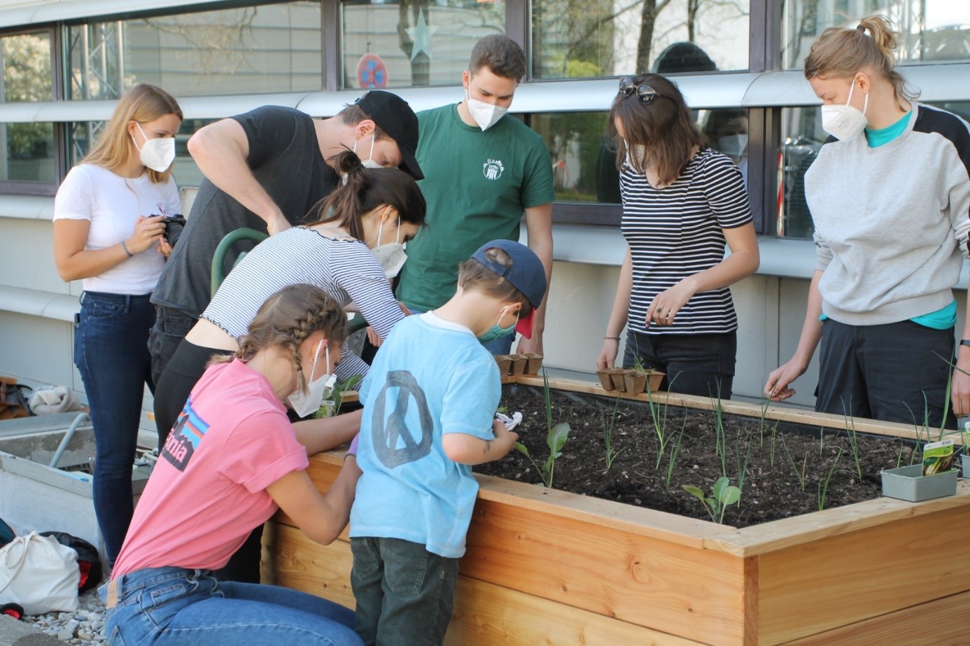 Young people put plants in a raised bed.