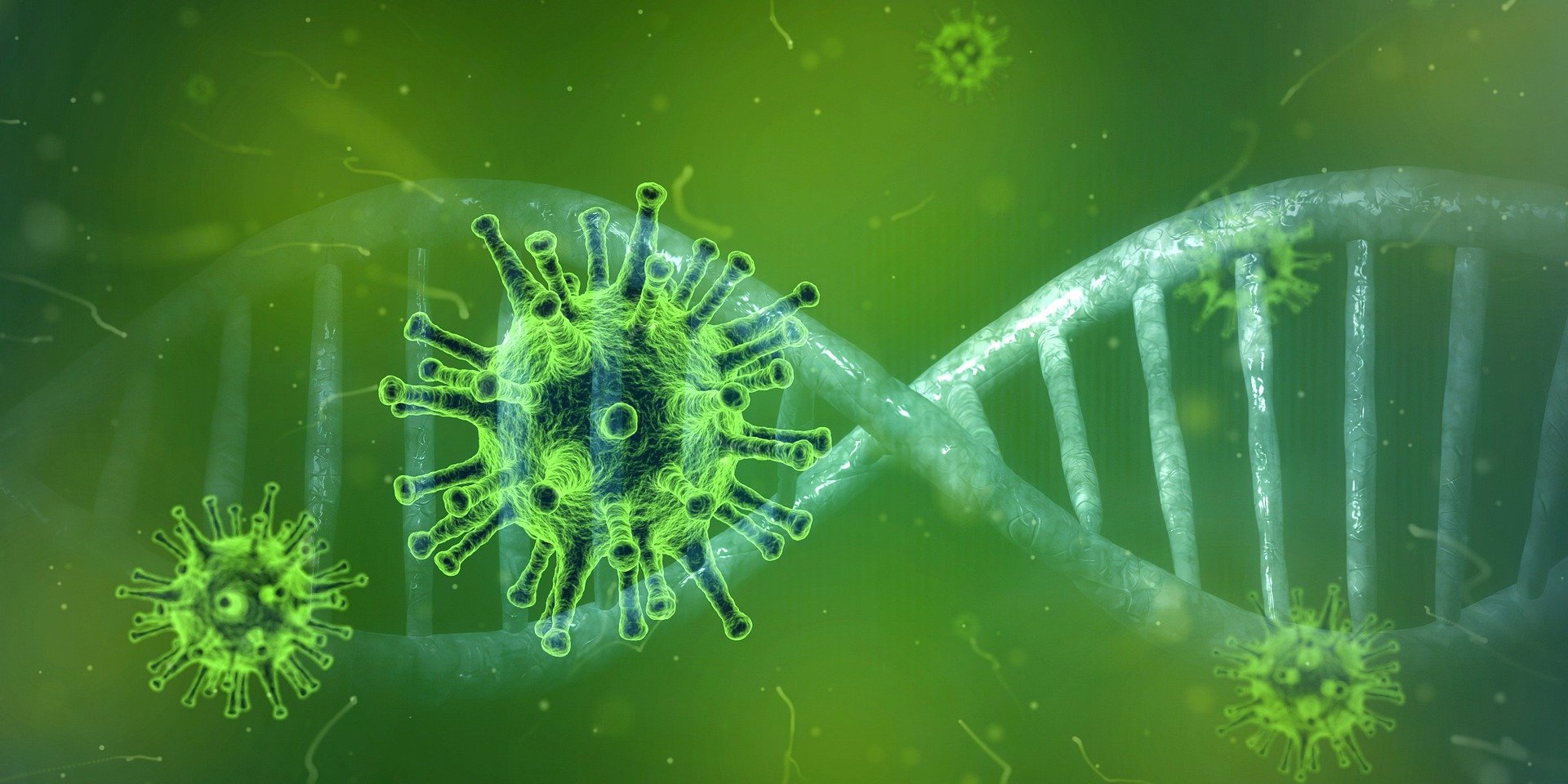 Deciphering the gene structure of the corona virus is an exciting task. (Image: Pete Linforth/ Pixabay) Deciphering the gene structure of the corona virus is an exciting task. (Image: Pete Linforth/ Pixabay)