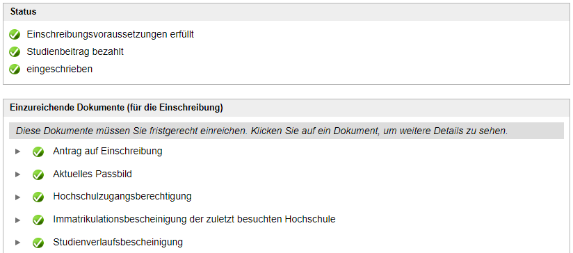 Screenshot TUMonline: Status Immatrikulation